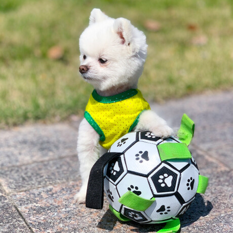 Juguete pelota inflable mascota perro futbol con cuerda Juguete Pelota Inflable Mascota Perro Futbol Con Cuerda