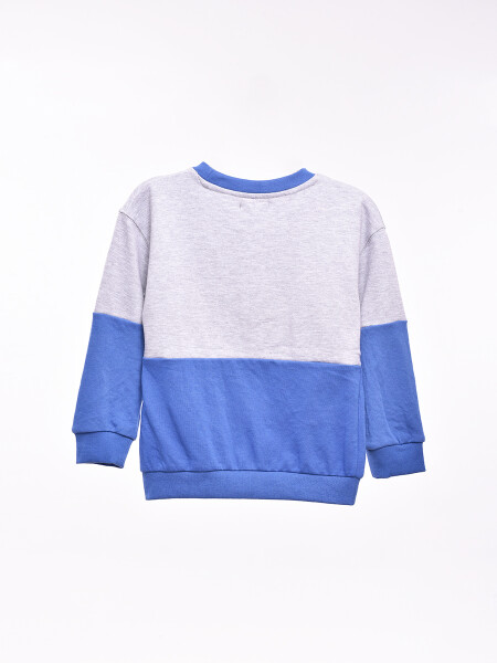 BUZO FELIU AZUL ELECTRICO