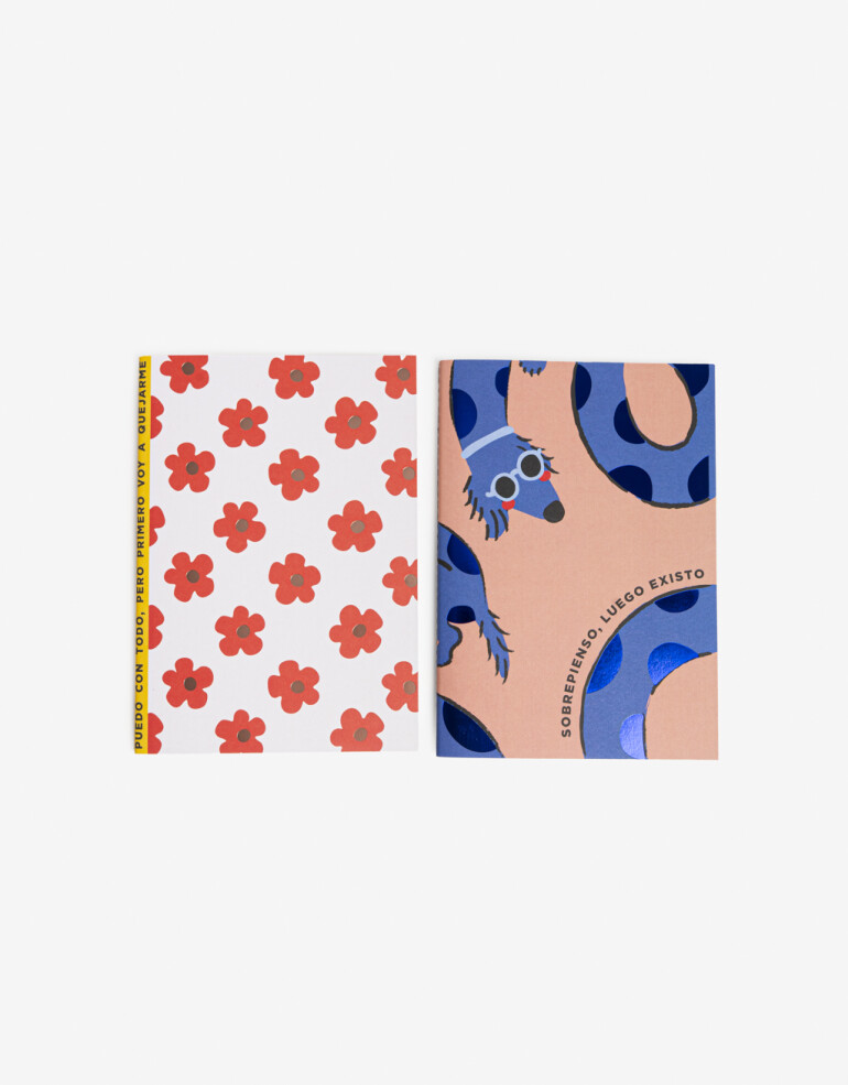 Anotadores Cuadernos y Memos Cuaderno Set Set De 2 Cuadernos. Contiene Un Cuaderno Rayado Y Uno Cuadriculado De 40 Páginas Cada Uno - Combinacion Tricolor