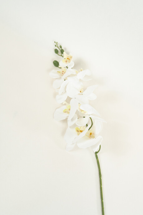Flor Orquídea Phalaenopsis Color Unico