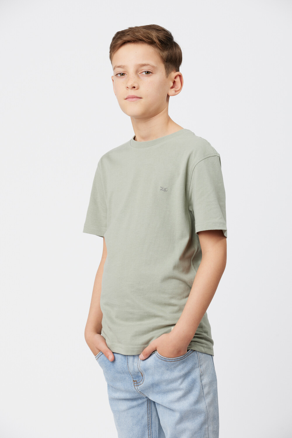 REMERA BÁSICA DE ALGODÓN Pistacho