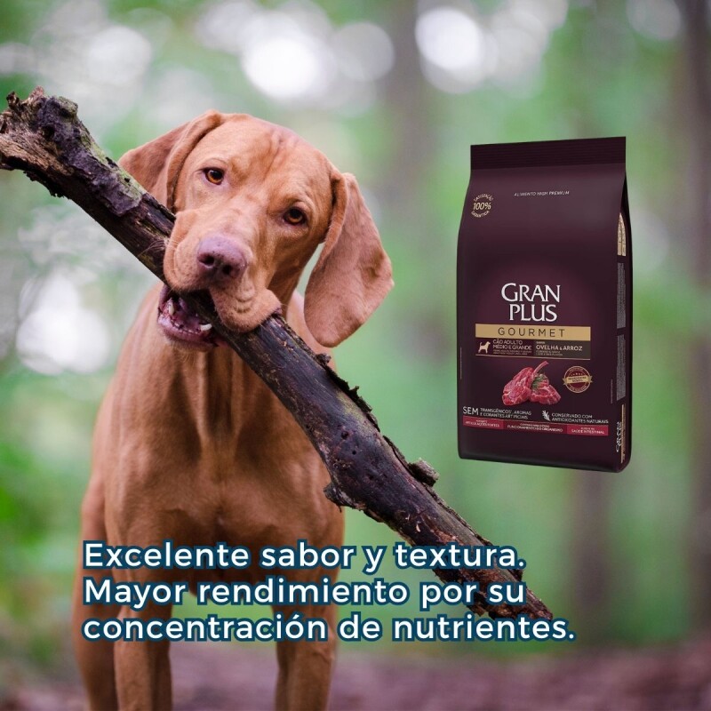 GRAN PLUS GOURMET AD. RAZA MEDIANO GRANDE CORDERO 15 KG + 1.5 KG GRATIS + REGALO GRAN PLUS GOURMET AD. RAZA MEDIANO GRANDE CORDERO 15 KG + 1.5 KG GRATIS + REGALO