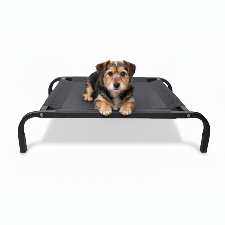 Cama para Mascota Tamaño M modelo Catrex Beepet Cama para Mascota Tamaño M modelo Catrex Beepet