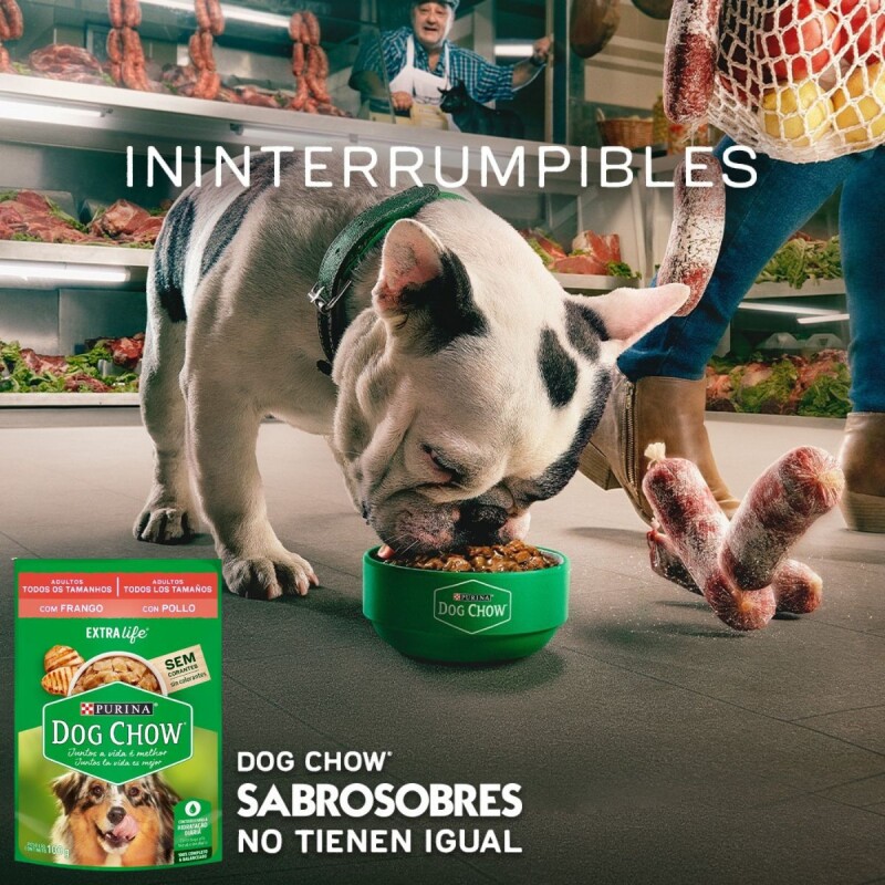 DOG CHOW EN SALSA ADULTO POLLO 100 GRAMOS DOG CHOW EN SALSA ADULTO POLLO 100 GRAMOS