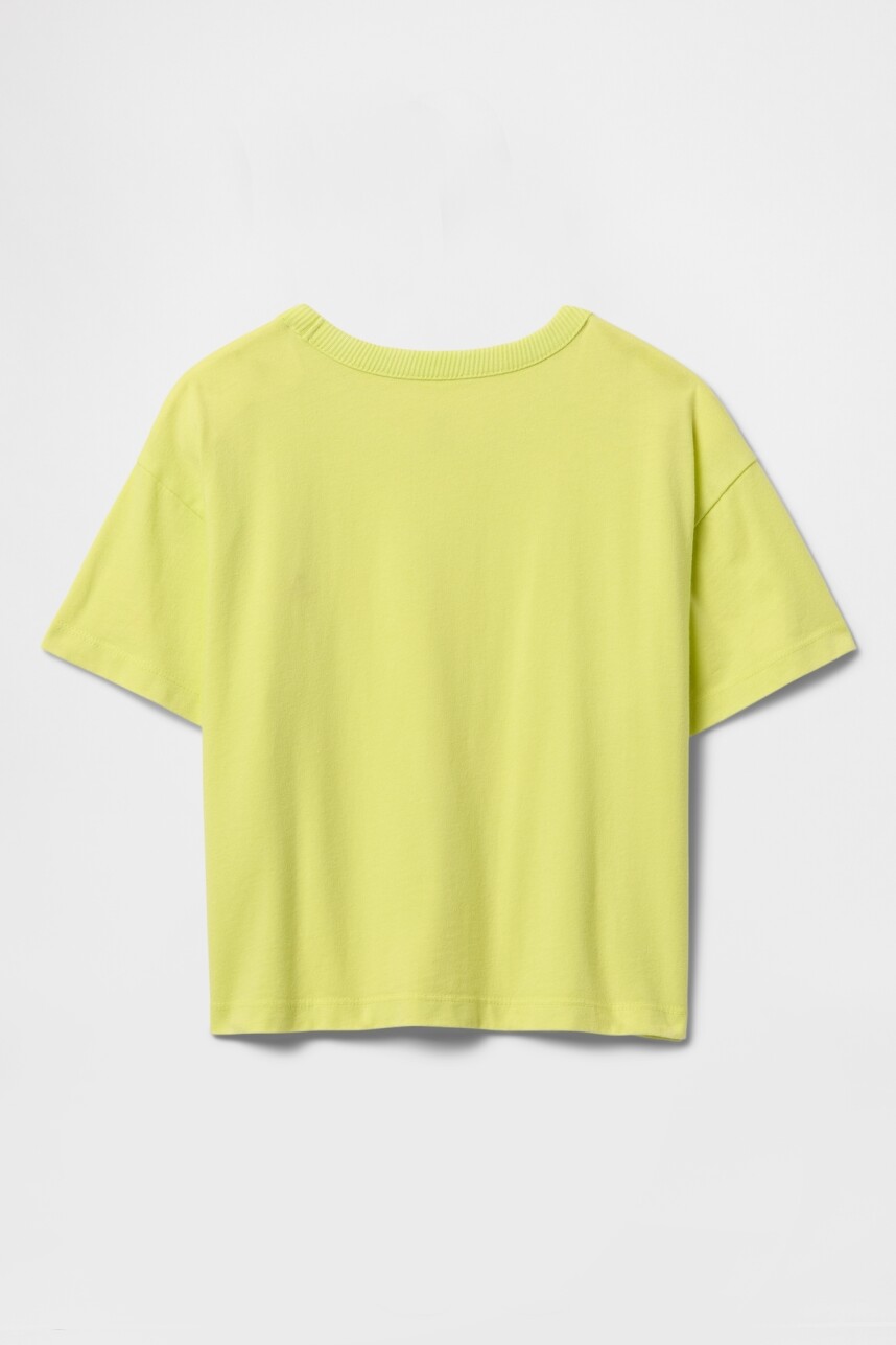 Remera Washed Toddler Niño Limon