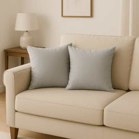 Set x2 Almohadones con Relleno 43 x 43 cm GRIS