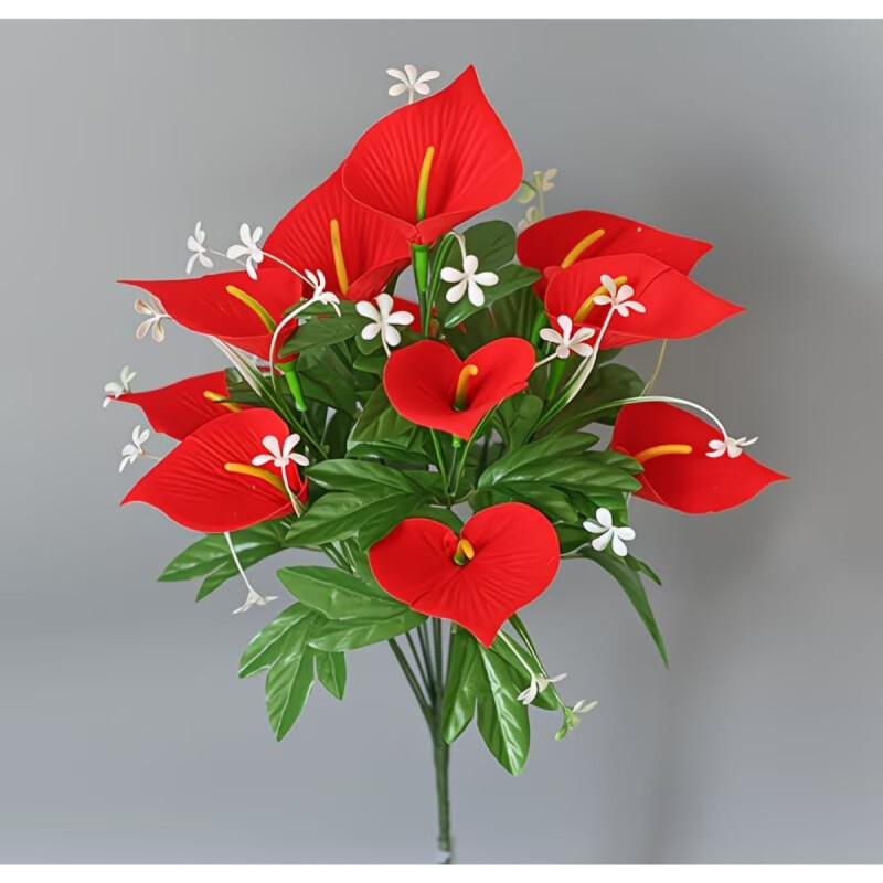 Ramo Anturio Rojo Ramo Anturio Rojo