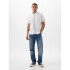 SS POPLIN OPTIC WHITE V6