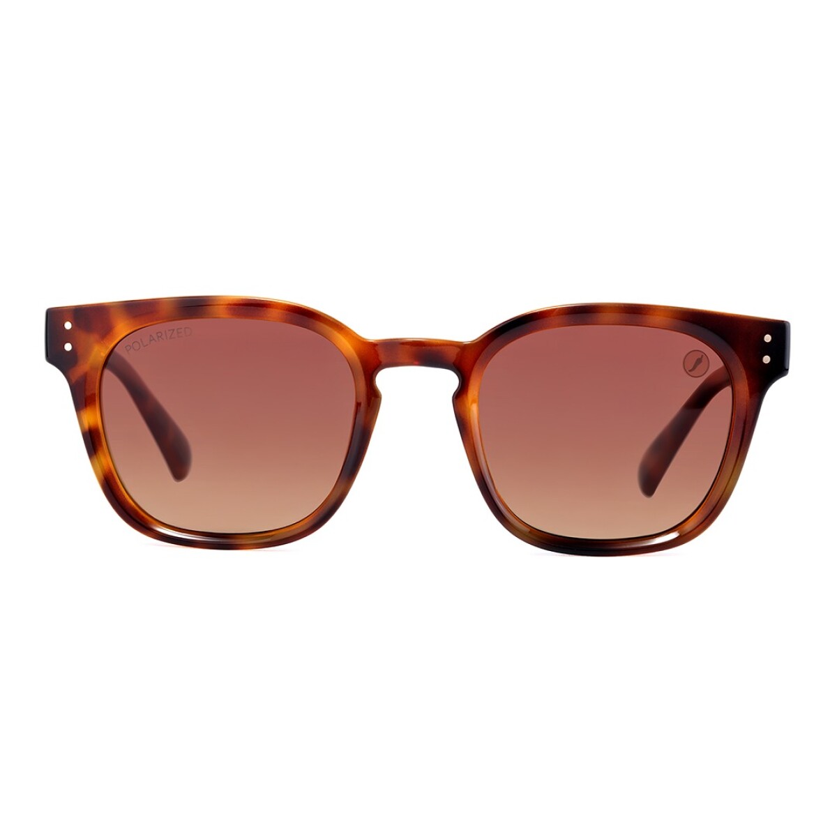 Lentes de Sol Chilli Beans Yakarta - Animal Print 