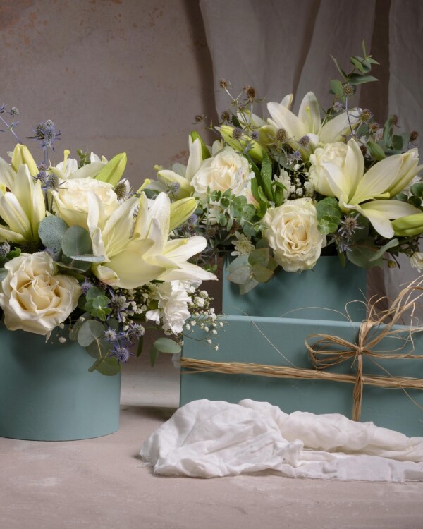 Box Mediana Box Mediana