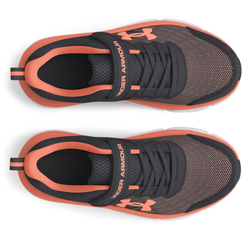 UA GPS Assert 10 AC-PPL GRY-103