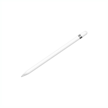 Apple Pencil (1ra Generación) Con Adaptador Usb C MQLY3AM/A Apple Pencil (1ra Generación) Con Adaptador Usb C MQLY3AM/A