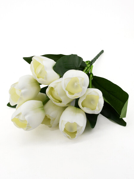 TULIPANES BLANCOS BLANCO