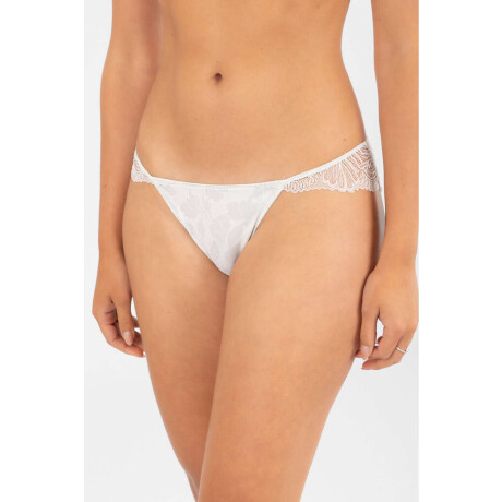 Bikini verbena Blanco