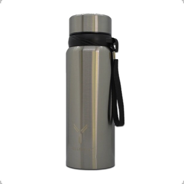 Termo Botella Termica Dellorean 600 ml Acero Inox Display Ax Variante Color Gris