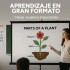 Pantalla De Proyección Con Trípode 100 Pulgadas HD 220cm largo x 120cm Variante Color Negro