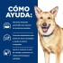 LATA HILL´S I/D PERROS CUIDADO DIGESTIVO 370 GRAMOS LATA HILL´S I/D PERROS CUIDADO DIGESTIVO 370 GRAMOS