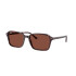 Rayban 2231 Havana Violeta