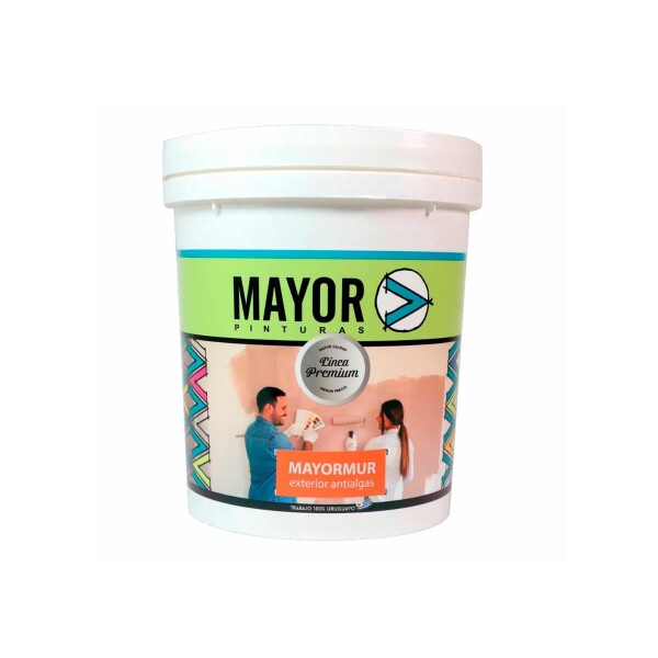 MAYORMUR EXTERIOR ANTI ALGAS 4LT Mayormur Exterior Anti Algas 4lt