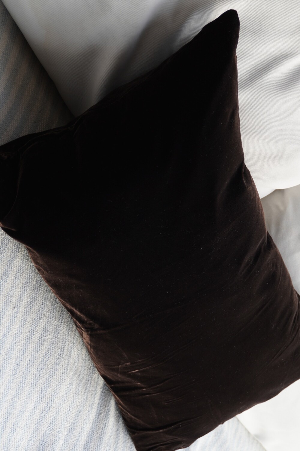 Terciopelo Cushion Marrón
