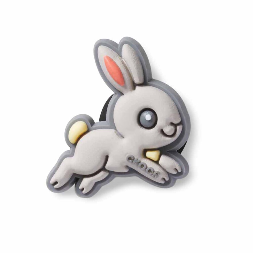 Jibbitz Pet Bunny Multicolor