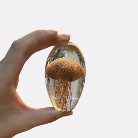 Pisa Papel Diseño Medusa Colores Cristal Naranja