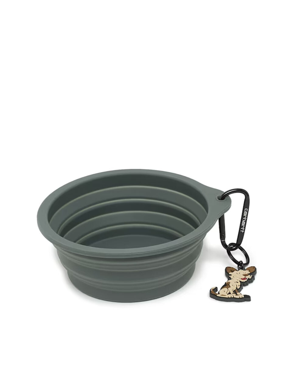 Wild Dog Foldable Bowl 