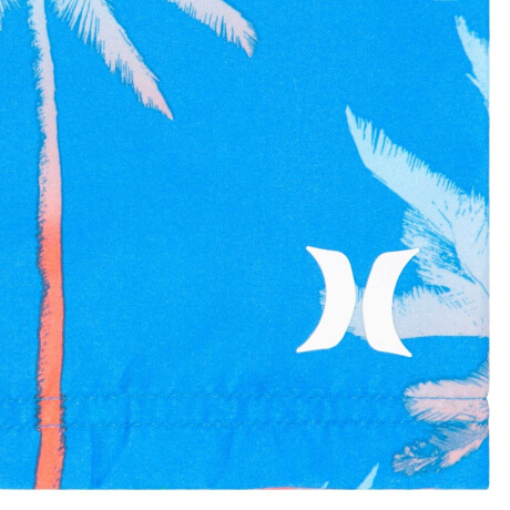 Conjunto Palm Gradient Rashguard de Niño Azul