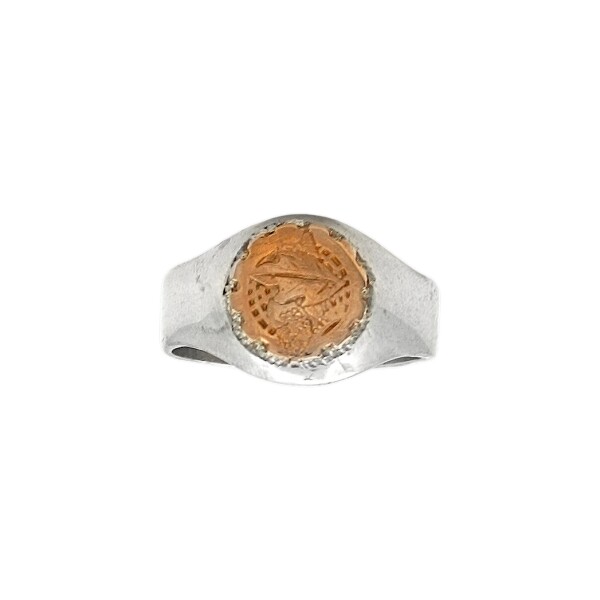 Anillo Profesión Economista -Plata y Oro-Sin Piedra-AP5015 sinpiedra