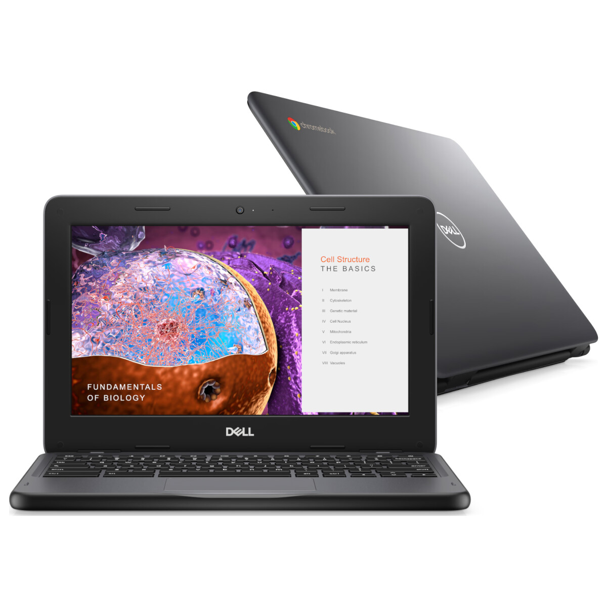 Dell - Notebook Chromebook 3110 - 11,6". Intel Celeron N4500. Intel Uhd. Chrome. Ram 4GB / Emmc 32GB 