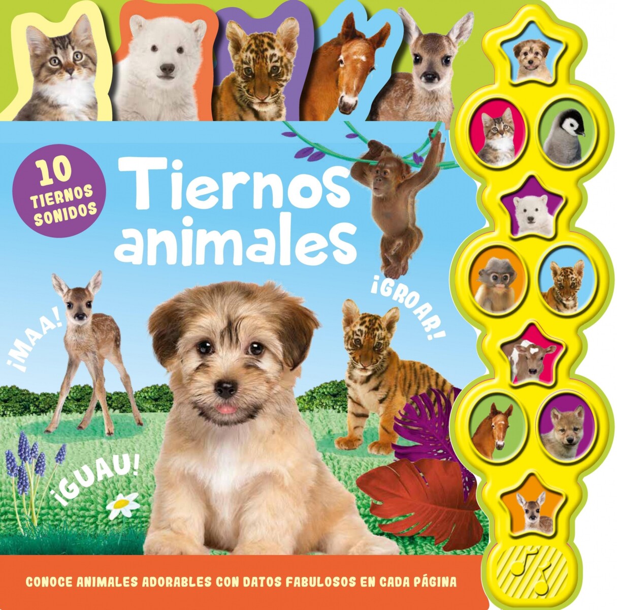 10 SONIDOS DE ANIMALES: TIERNOS ANIMALES 