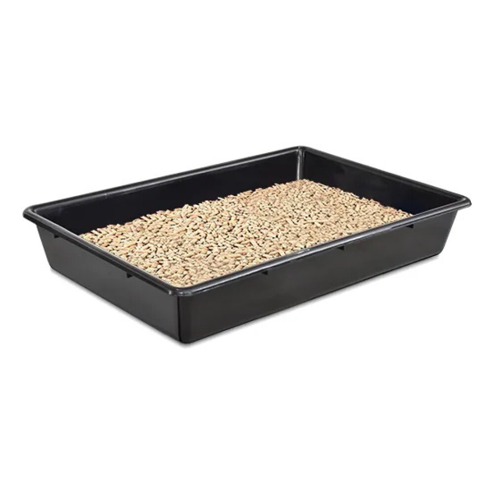 Bandeja Sanitaria Para Gato Bandeja Sanitaria Para Gato