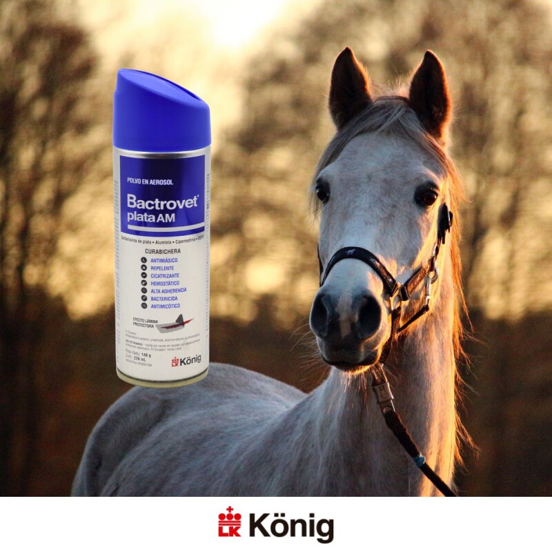 BACTROVET PLATA SPRAY 250 CC BACTROVET PLATA SPRAY 250 CC
