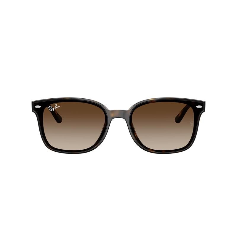 Ray Ban Rb4461d 710/13