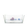 Bañito Plegable Flexi bath stokke Transparente / Verde