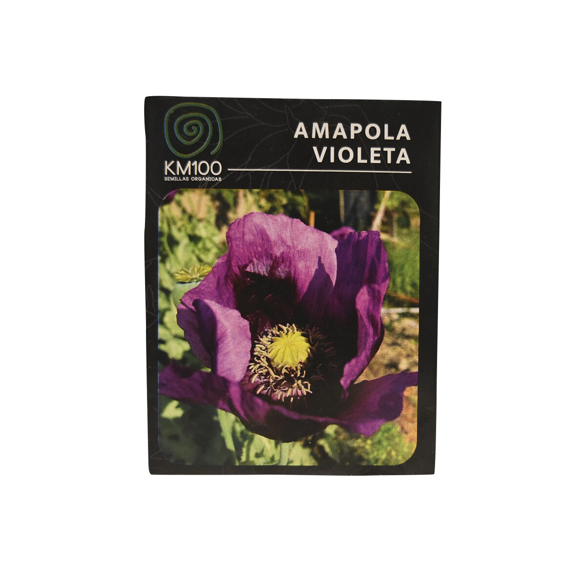 Semillas autocultivo de amapola violeta KM100 