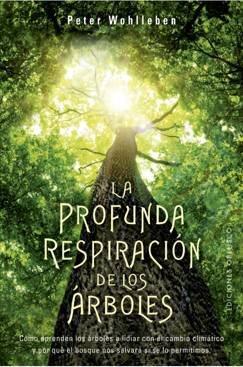 La profunda respiración de los árboles 