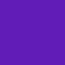 TINTA WORLD FAMOUS Amsterdam Purple