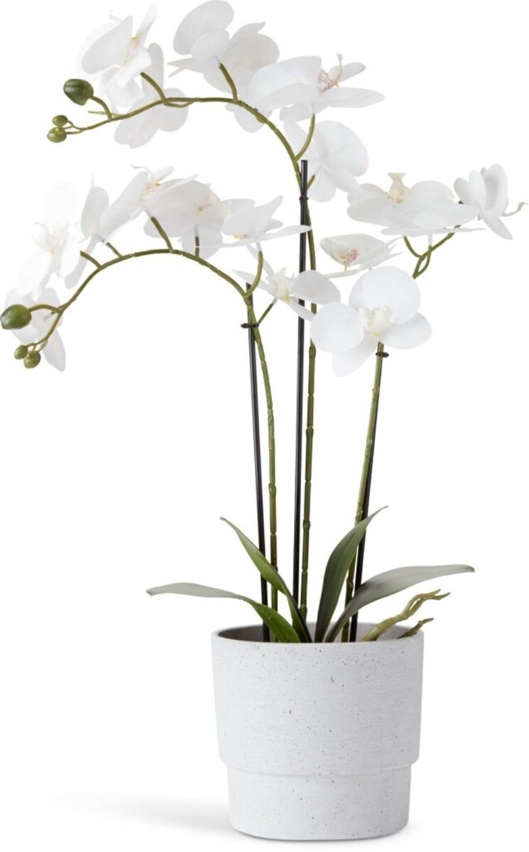 Planta Artificial Matinus A62Cm - Flores 
