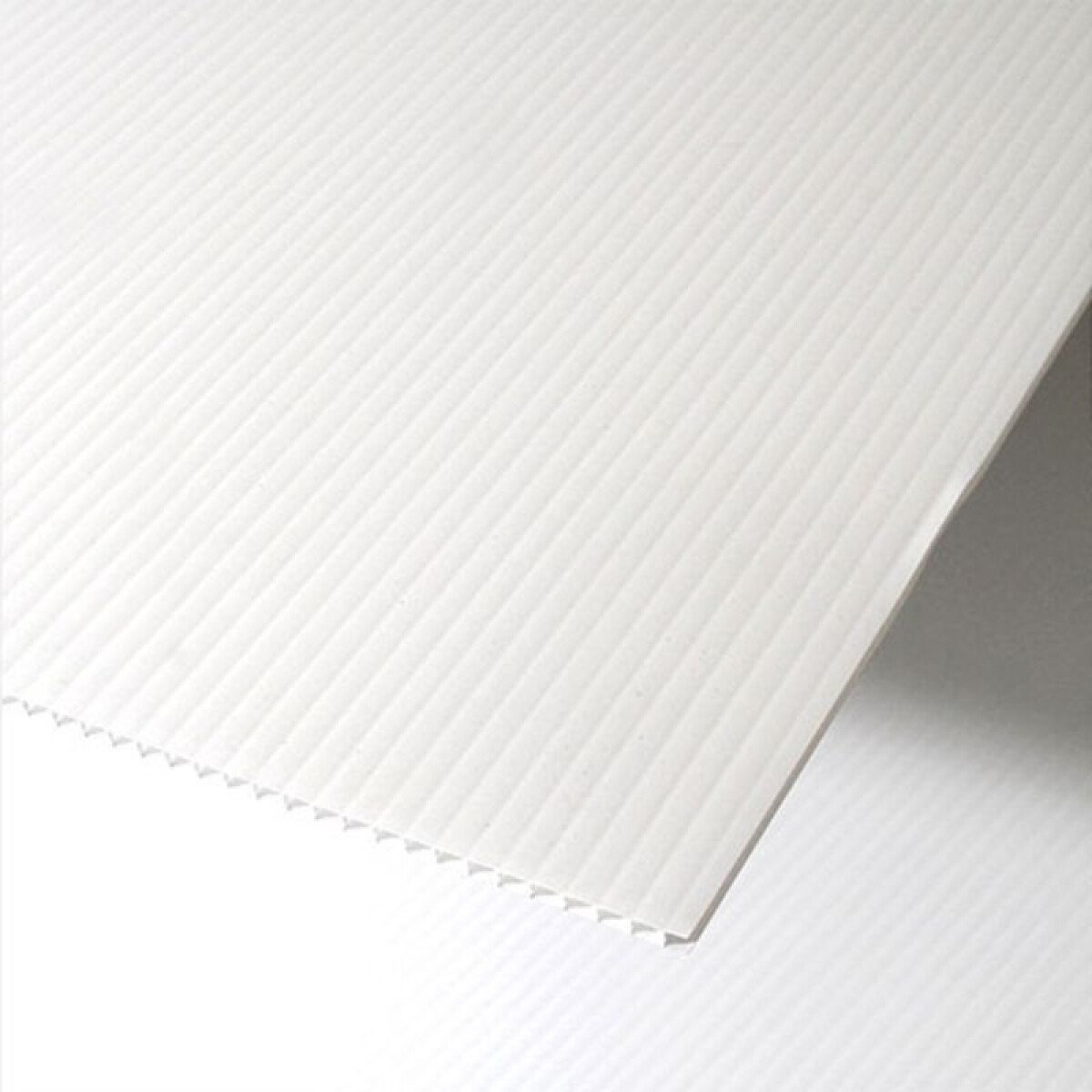 CARTONPLAST 2 X 1 MT - 3 MM BLANCO 