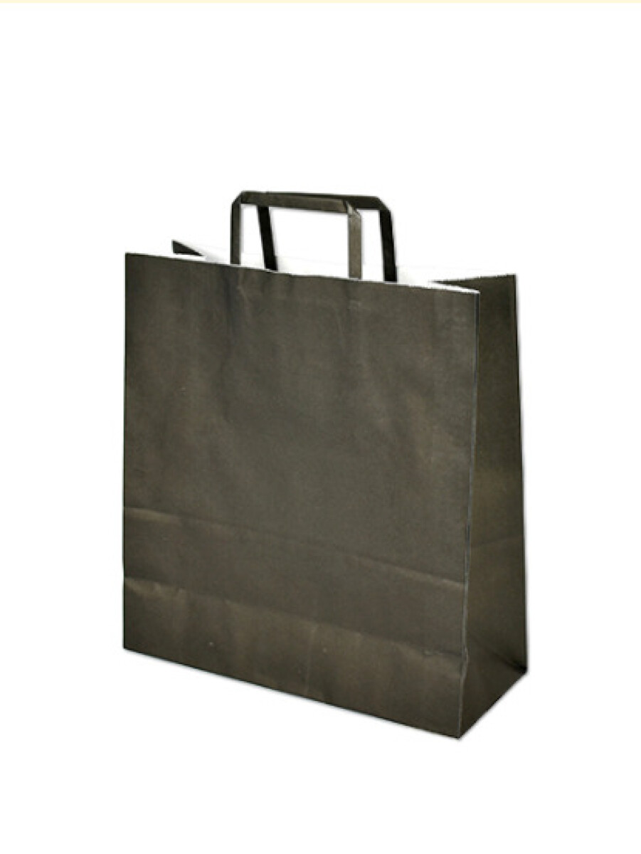 Bolsa lisa acuario 30x12x32 cm - NEGRO 