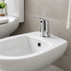 Grifería Monocomando Bidet con Transferencia 35 mm Rimontti Grifería Monocomando Bidet Con Transferencia 35 Mm Rimontti