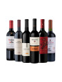 Pack Bacán Selección San Valentin x6 vinos Tintos Cómplices Pack Bacán Selección San Valentin x6 vinos Tintos Cómplices