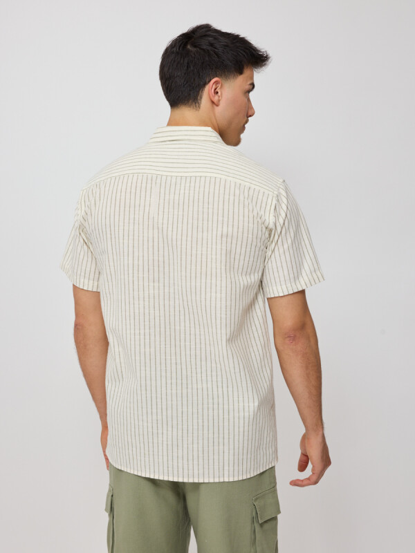 CAMISA VETA RUSTY Verde