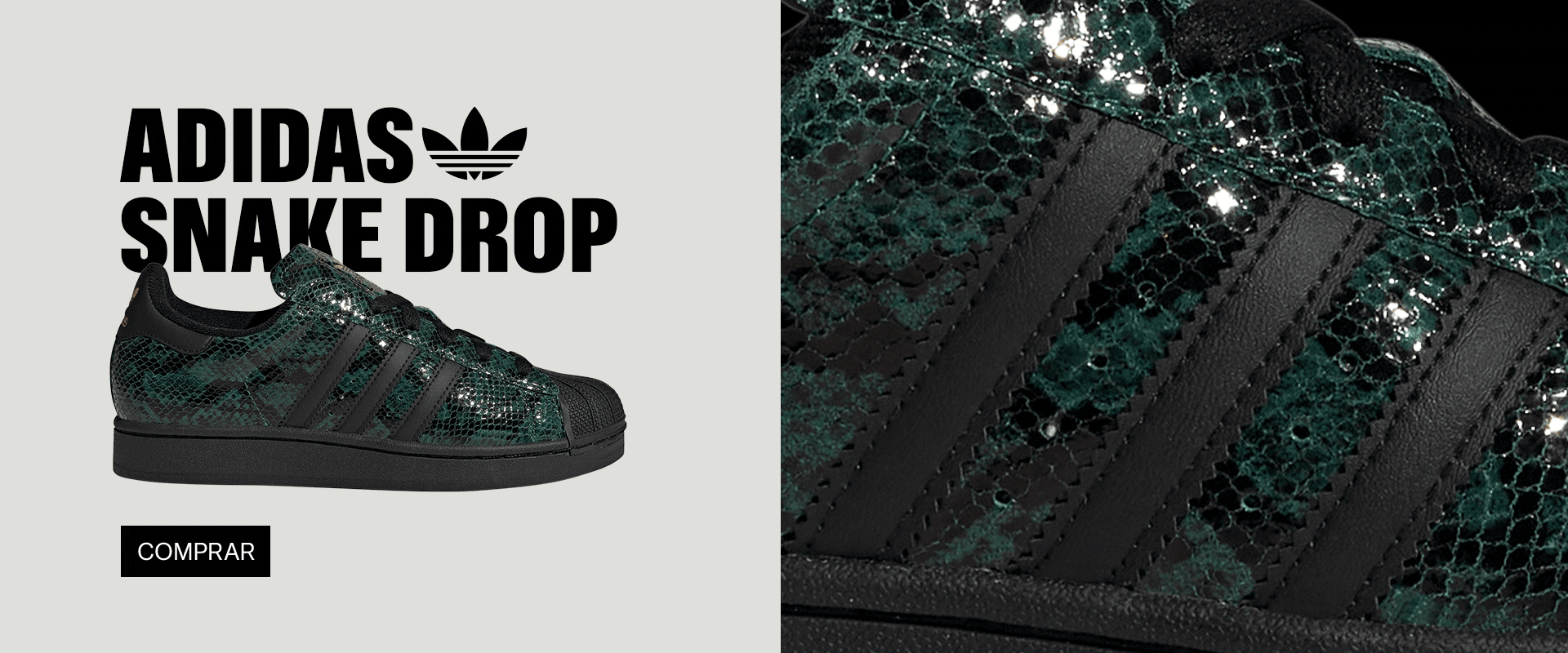 Snake Pack