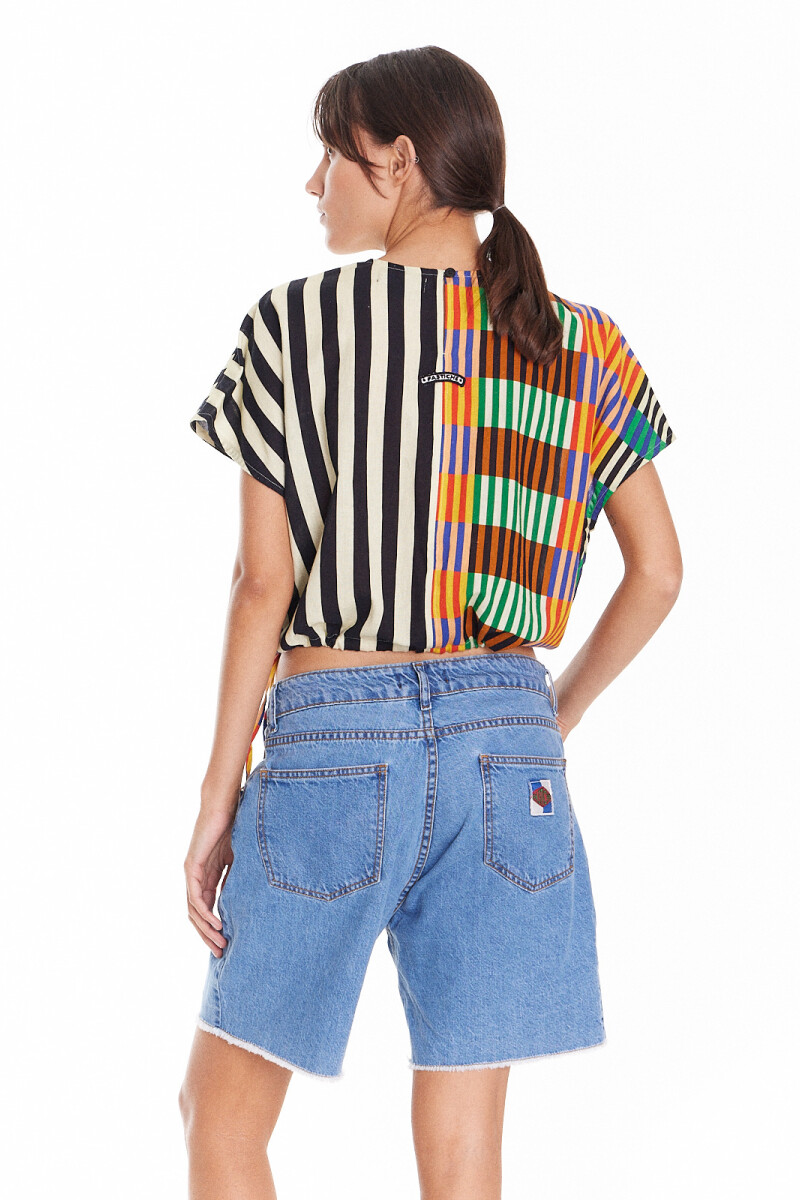 Blusa Fred Stripes Multi