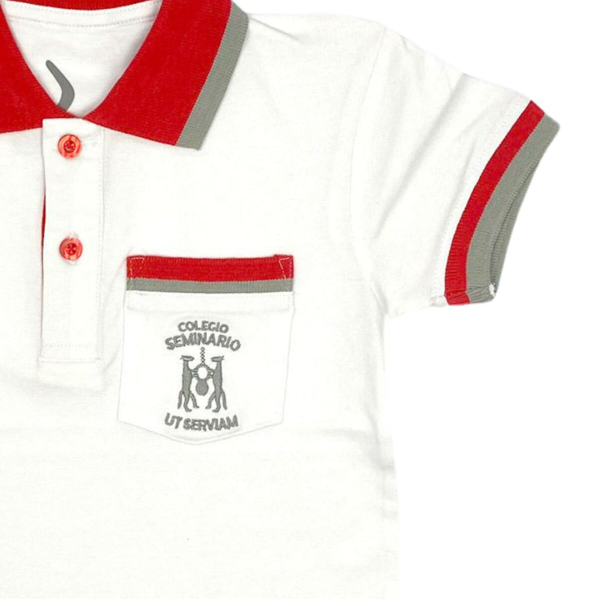 Remera Polo Unisex Colegio Seminario Blanco