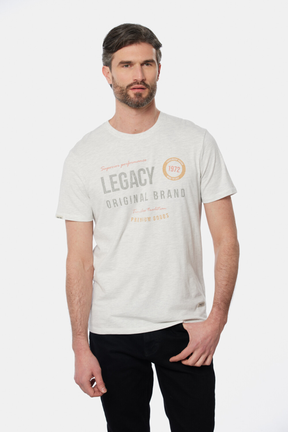 REMERA ESTAMPADA Gris