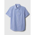 V-SS PPLN BLUE STRIPE