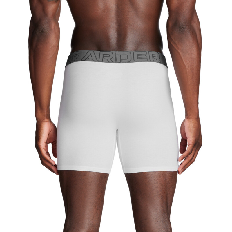 UA PERFORMANCE COTTON - SOLID 6 IN 3PK - BLU WHT-100